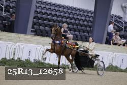 25R13_12658 thumbnail