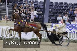 25R13_12660 thumbnail