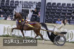 25R13_12661 thumbnail