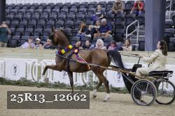 25R13_12662 thumbnail