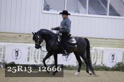 25R13_12666 thumbnail