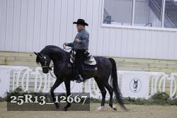 25R13_12667 thumbnail