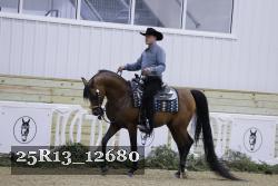 25R13_12680 thumbnail