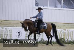 25R13_12681 thumbnail