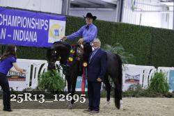 25R13_12695 thumbnail