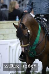 25R13_12698 thumbnail