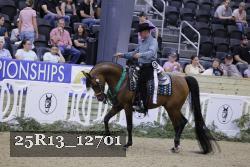 25R13_12701 thumbnail