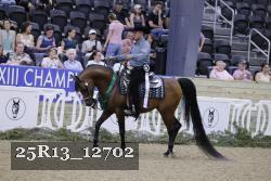 25R13_12702 thumbnail