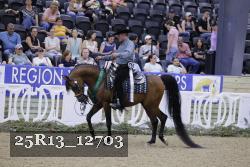 25R13_12703 thumbnail