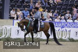 25R13_12704 thumbnail