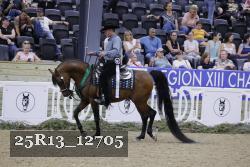 25R13_12705 thumbnail