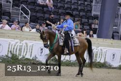 25R13_12710 thumbnail