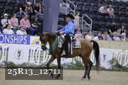 25R13_12711 thumbnail