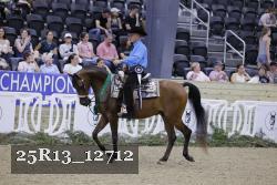 25R13_12712 thumbnail