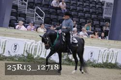 25R13_12718 thumbnail