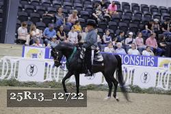 25R13_12722 thumbnail