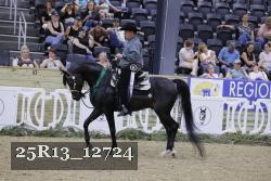 25R13_12724 thumbnail