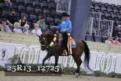 25R13_12725 thumbnail