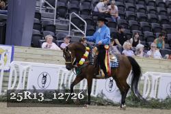 25R13_12726 thumbnail