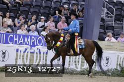25R13_12727 thumbnail