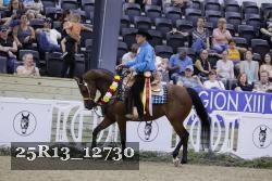 25R13_12730 thumbnail