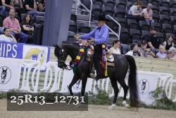 25R13_12731 thumbnail
