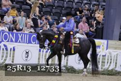 25R13_12733 thumbnail
