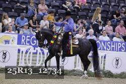 25R13_12734 thumbnail