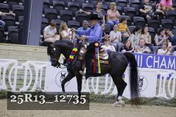 25R13_12735 thumbnail