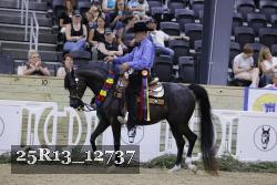 25R13_12737 thumbnail