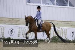25R13_12738 thumbnail