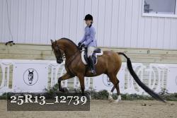 25R13_12739 thumbnail