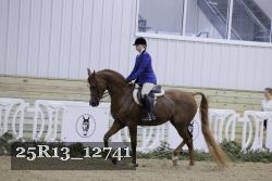25R13_12741 thumbnail