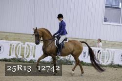 25R13_12742 thumbnail
