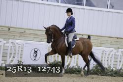 25R13_12743 thumbnail