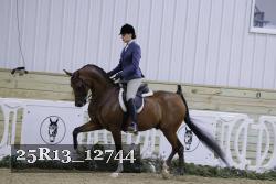 25R13_12744 thumbnail