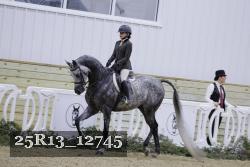 25R13_12745 thumbnail