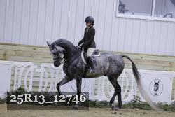 25R13_12746 thumbnail