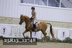25R13_12748 thumbnail
