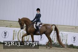25R13_12751 thumbnail