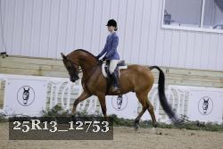 25R13_12753 thumbnail