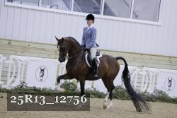 25R13_12756 thumbnail