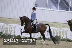 25R13_12757 thumbnail