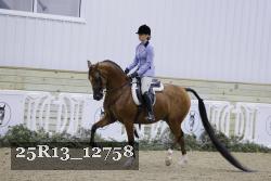 25R13_12758 thumbnail