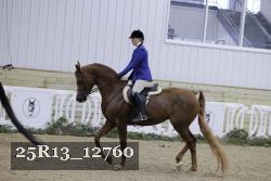 25R13_12760 thumbnail