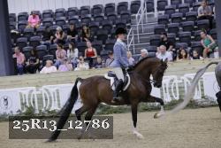 25R13_12786 thumbnail