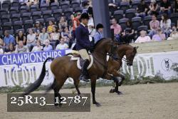 25R13_12787 thumbnail