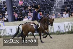 25R13_12788 thumbnail