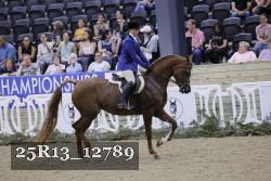 25R13_12789 thumbnail