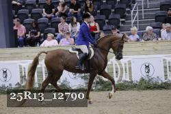 25R13_12790 thumbnail